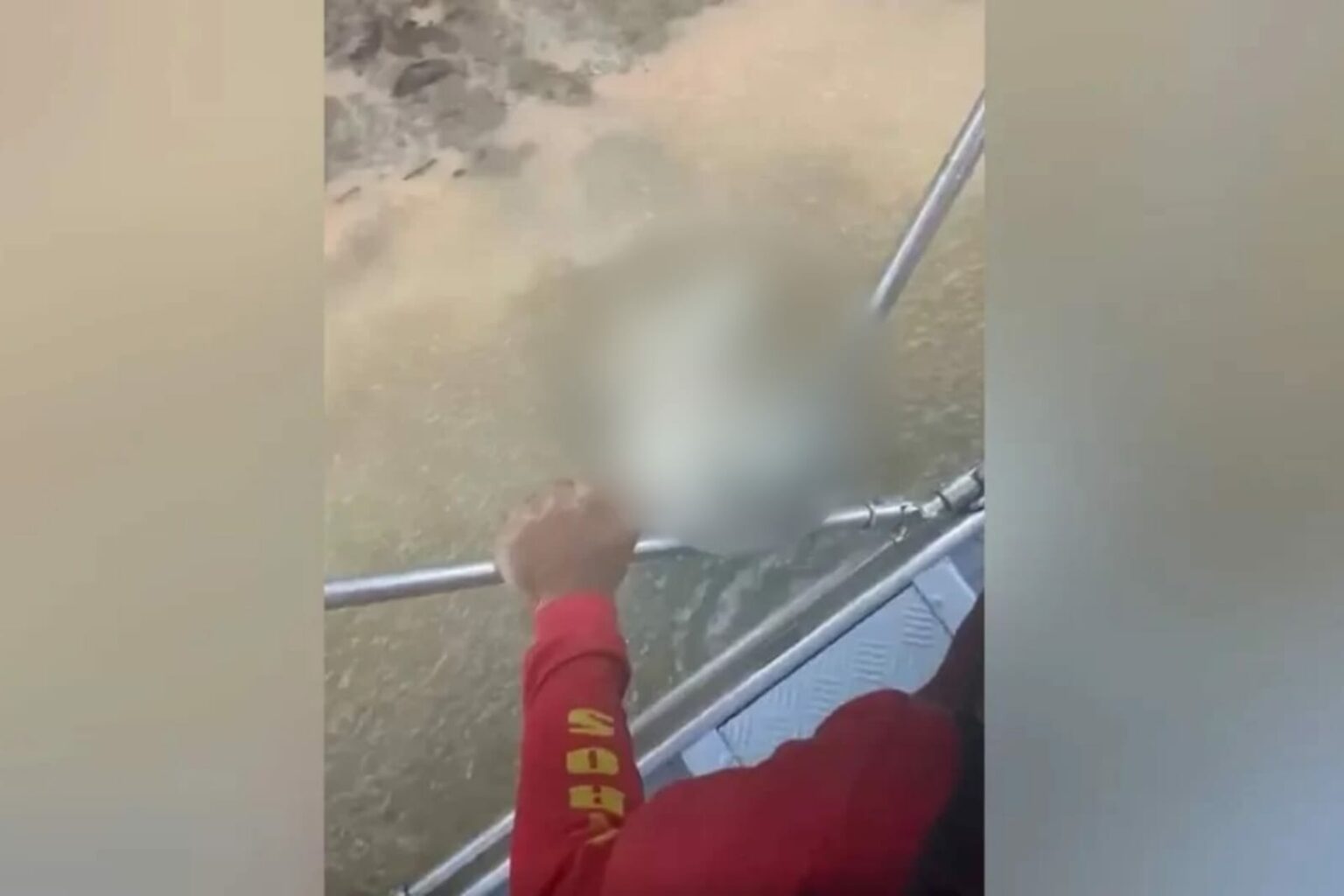 Jacaré deixa só cabeça de homem em Goiás