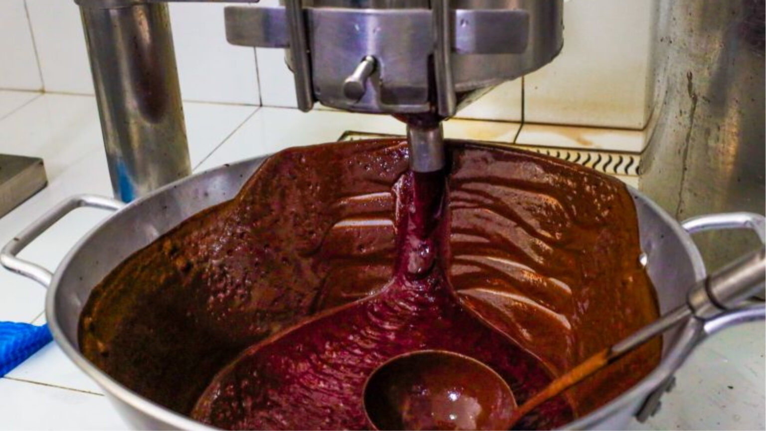 Açaí do Pará se destaca no mercado árabe durante a COP 28