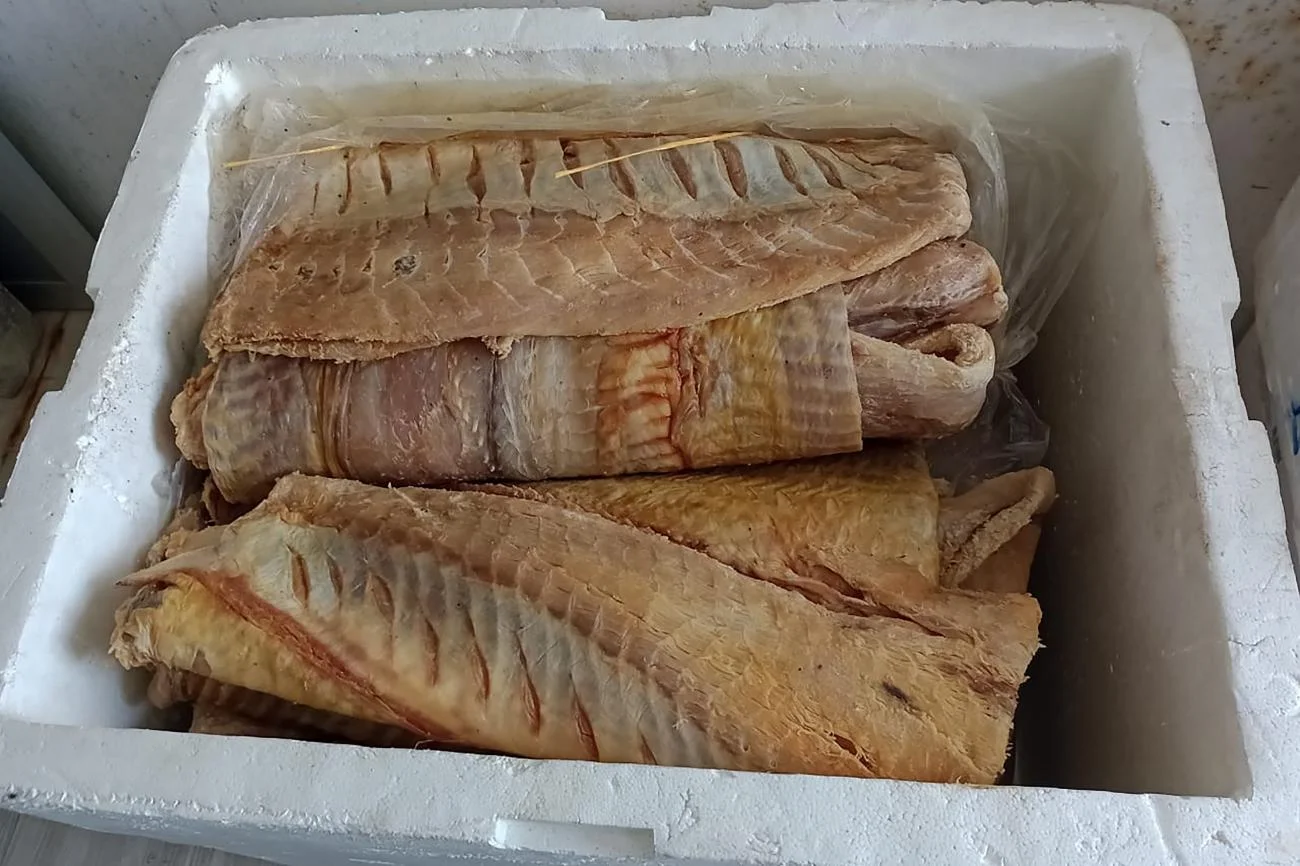 Adepará apreende 200 kg de pirarucu salgado no Marajó