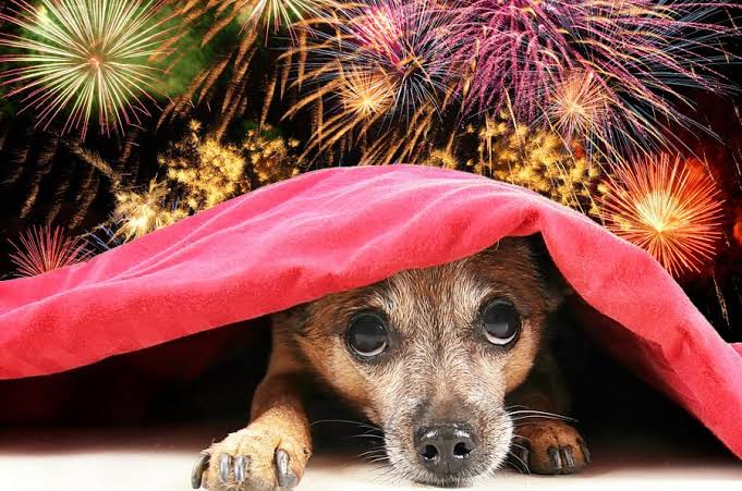 Juiz proíbe queima de fogos de artifício barulhentos no Réveillon em Marabá