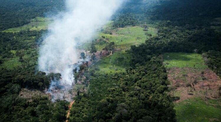 Pará implementará restauração florestal com créditos de carbono até 2030