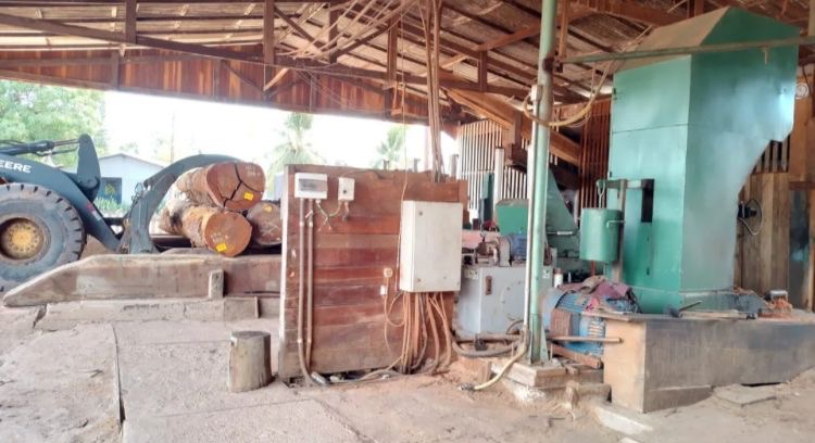 Operação fecha madeireira por desvio de energia elétrica no Pará