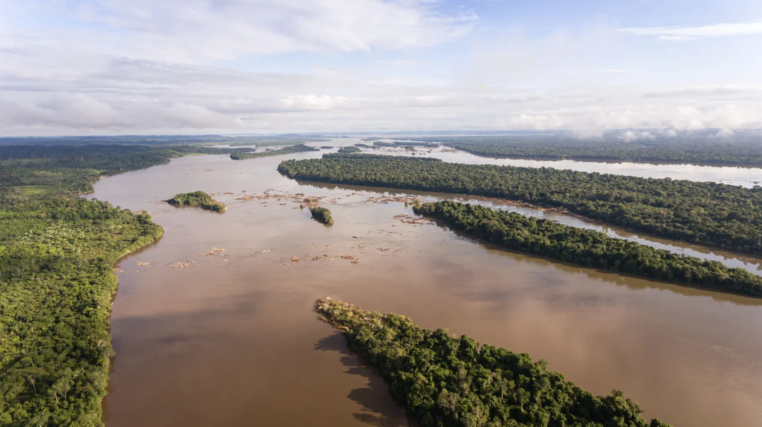Projeto devolve mais de 1.700 quelônios à natureza no Pará