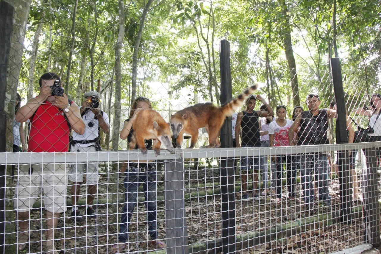 Governo do Pará entrega licença para Fundação Zoobotânica de Marabá