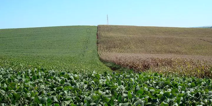 Tecnologia 5G pode impulsionar produtividade no agronegócio do Pará