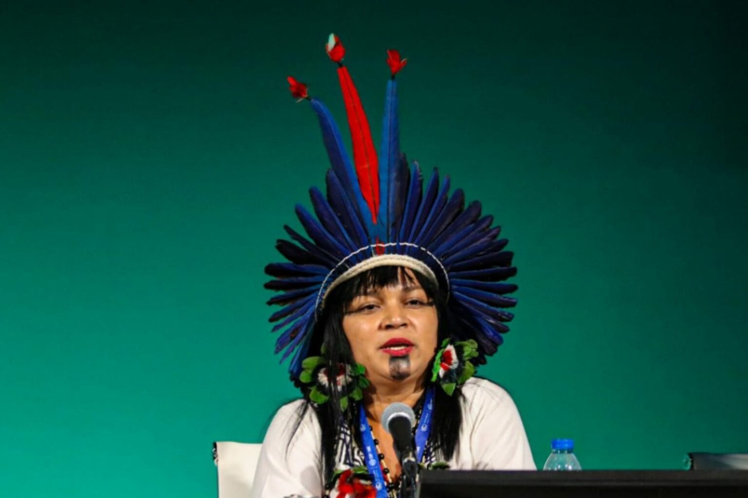 Indígenas questionam a situação ambiental do Pará