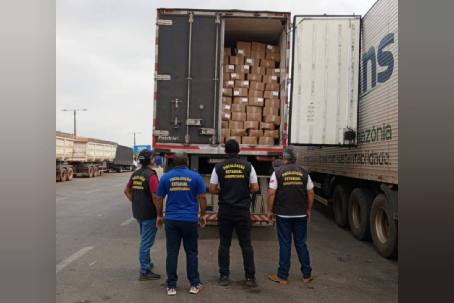 Adepará apreende mais de 280 toneladas de alimentos impróprios para o consumo em 2023
