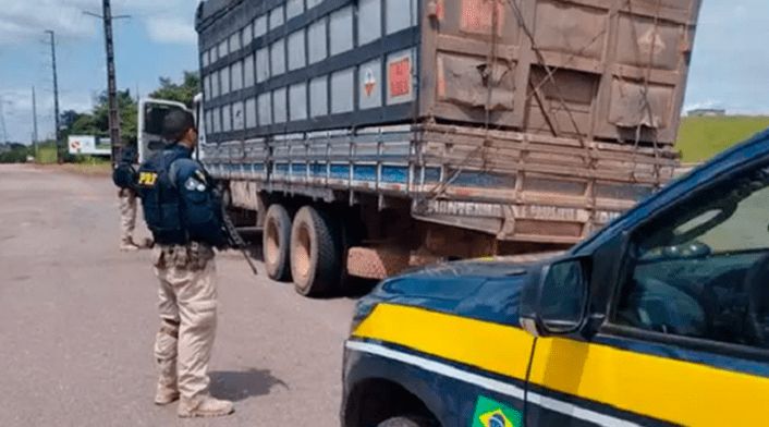 PRF apreende 33,5 m³ de carvão mineral ilegal em Marabá