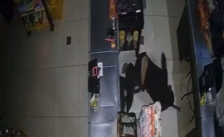 Vídeo: homem invade supermercado para roubar no Pará