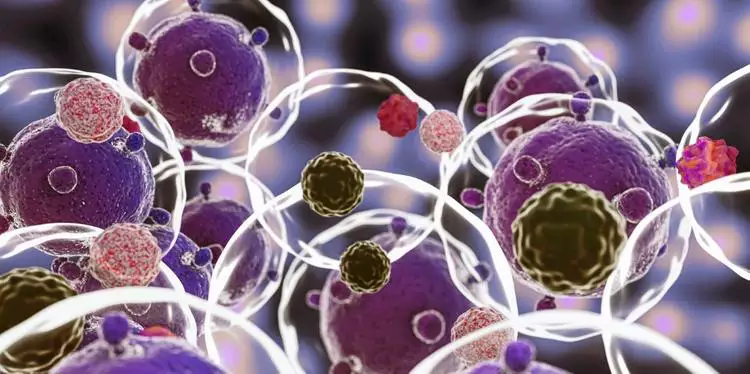 Inglaterra alerta para casos de superbactéria transmitida durante sexo