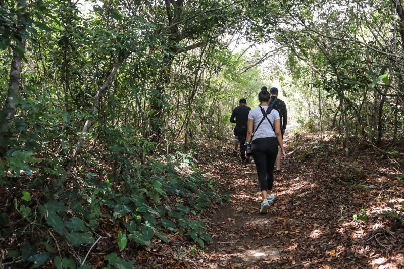 Amazônia tem cerca de R$ 94 milhões para investimentos em ‘Expedições Científicas’