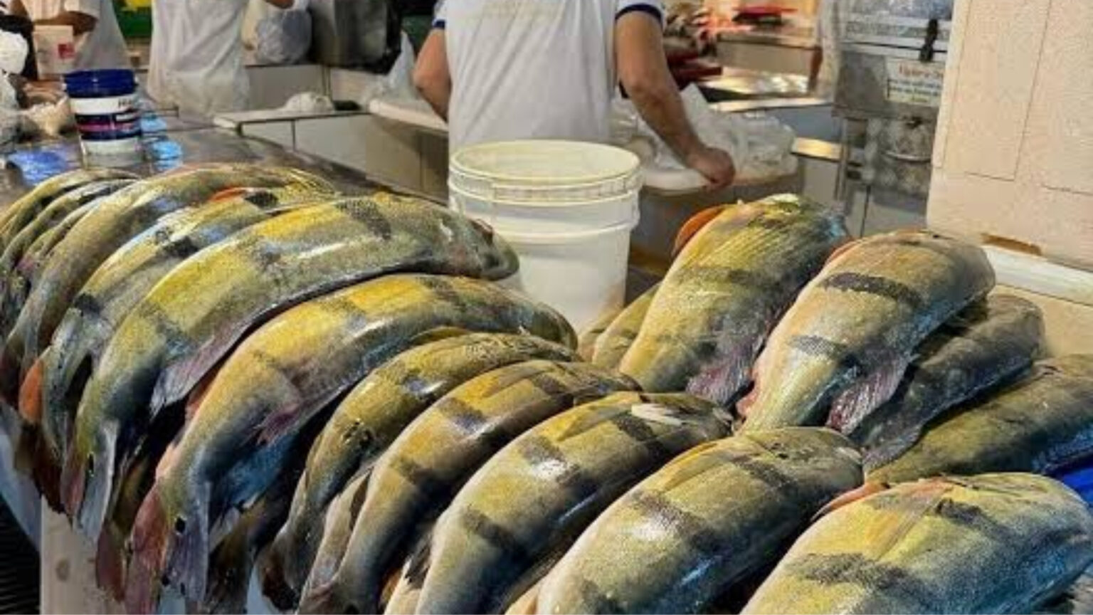 Semma realiza apreensão de pescado irregular na feira da 28, em Marabá