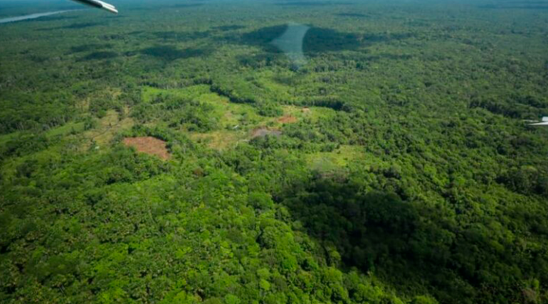 Pará lidera com uma redução de 53% nos alertas de desmatamento na Amazônia