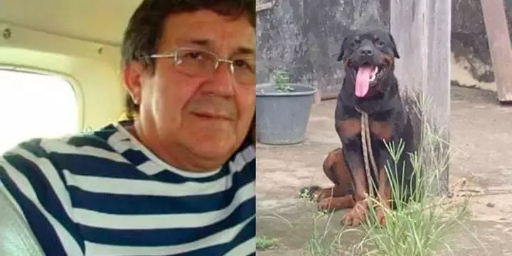 Empresário maranhense é morto pelo próprio cachorro em Juruti