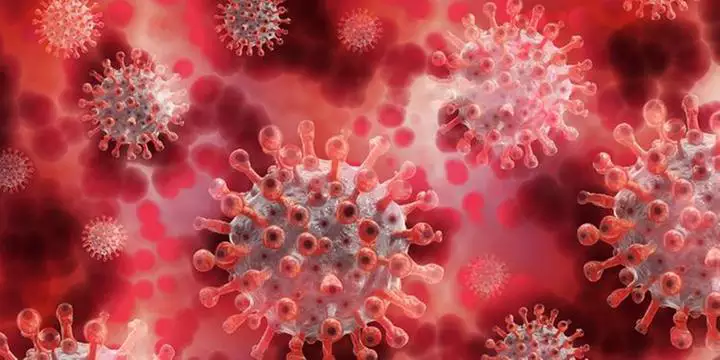 Anvisa aprova a vacina indiana Covovax contra a Covid-19