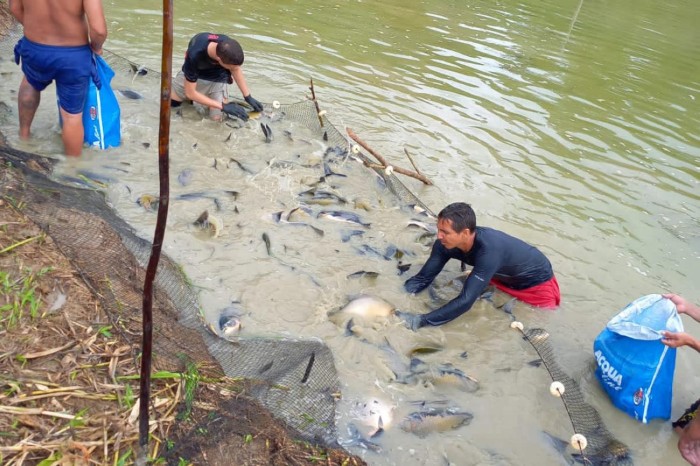 Emater planeja capacitar 2 mil pescadores artesanais no Pará