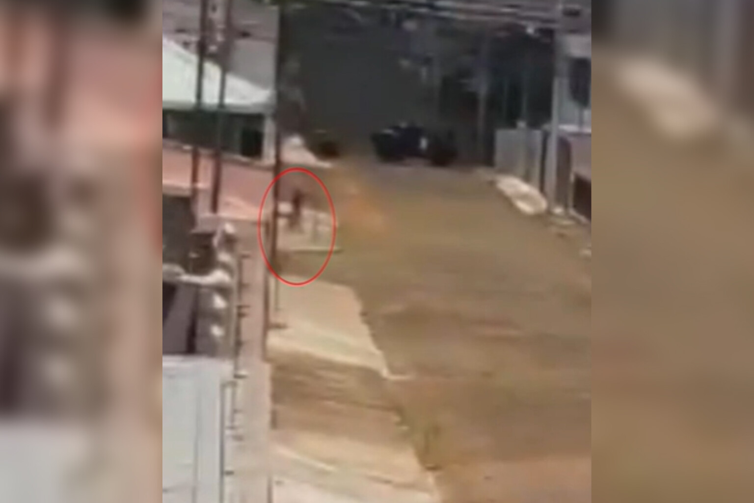 Idosa foge de asilo clandestino para pedir socorro após agressões