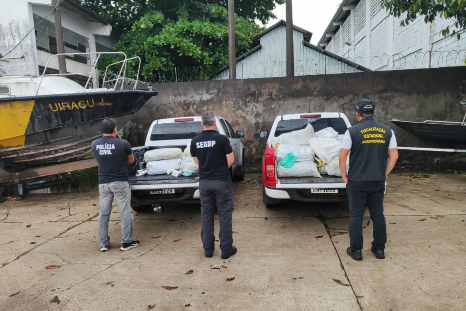 Cerca de uma tonelada de peixe é apreendida no Marajó