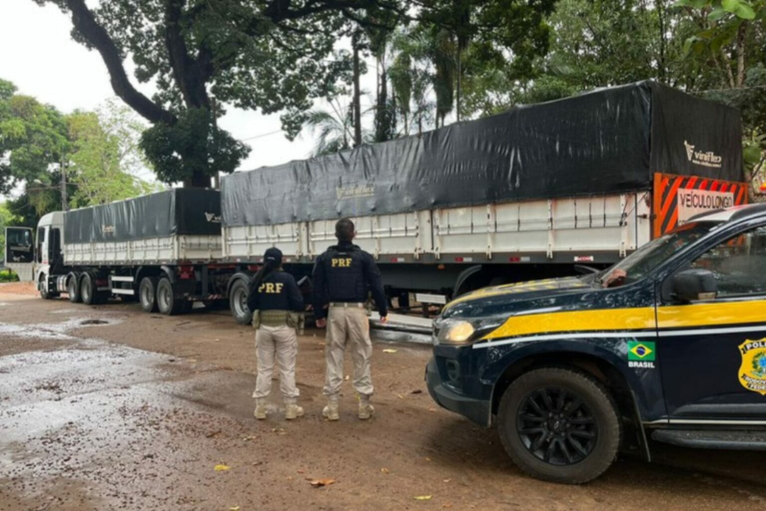 PRF apreende 61 m³ de madeira ilegal em Marabá