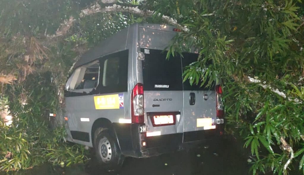 Vídeo: árvore cai e atinge van de passageiros em Mosqueiro