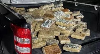 Desde janeiro, Polícia apreende mais de 500 kg de skunk no Pará