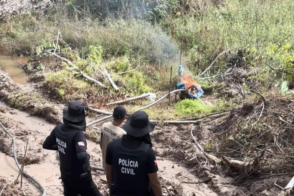 Operação Curupira completa 1 ano com queda de 67% no alerta de desmatamento no Pará
