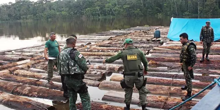 Multas aplicadas pelo Ibama no Pará crescem 190% em cinco anos
