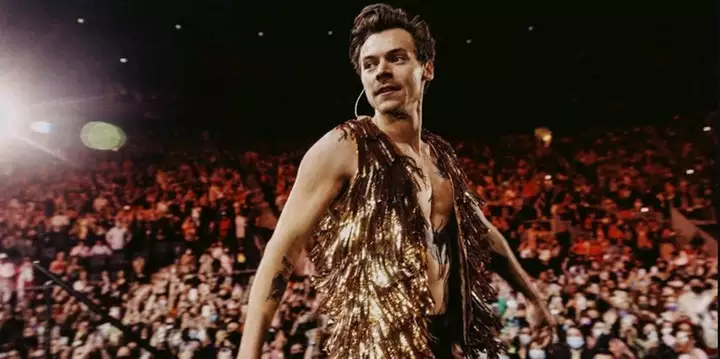 Brasileira é presa por enviar mais de 8 mil cartas a Harry Styles