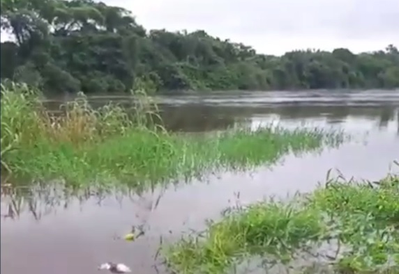 Defesa Civil faz alerta para cheia do rio Pacajá