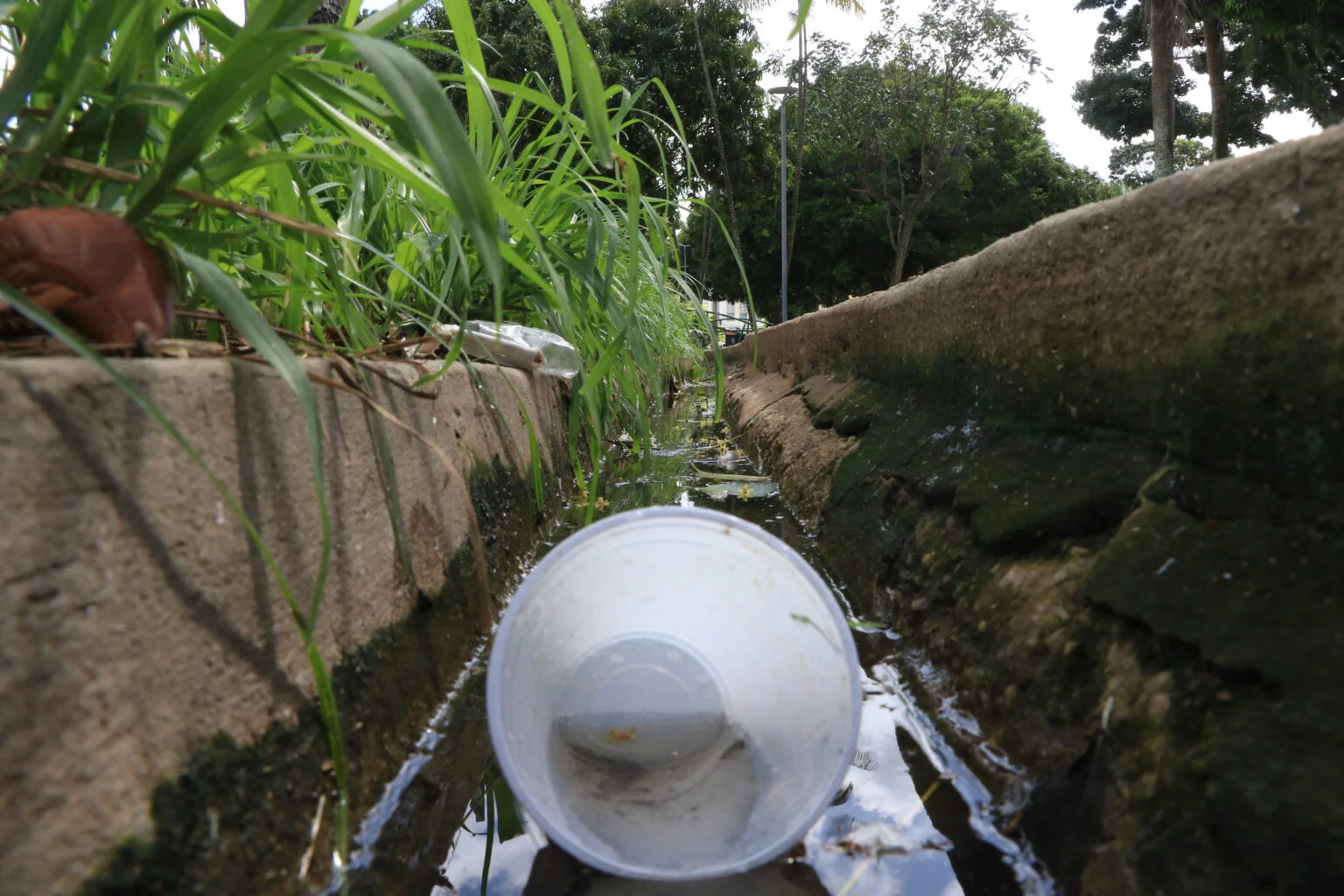 Ministério da Saúde descarta mortes por dengue no Pará