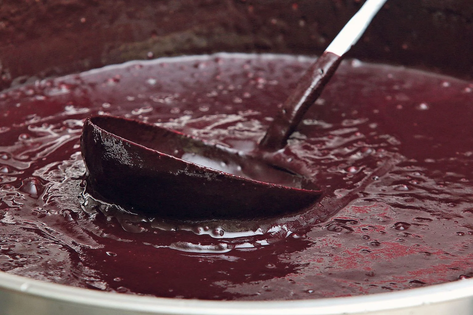 Alepa debate alta dos preços do açaí no Pará