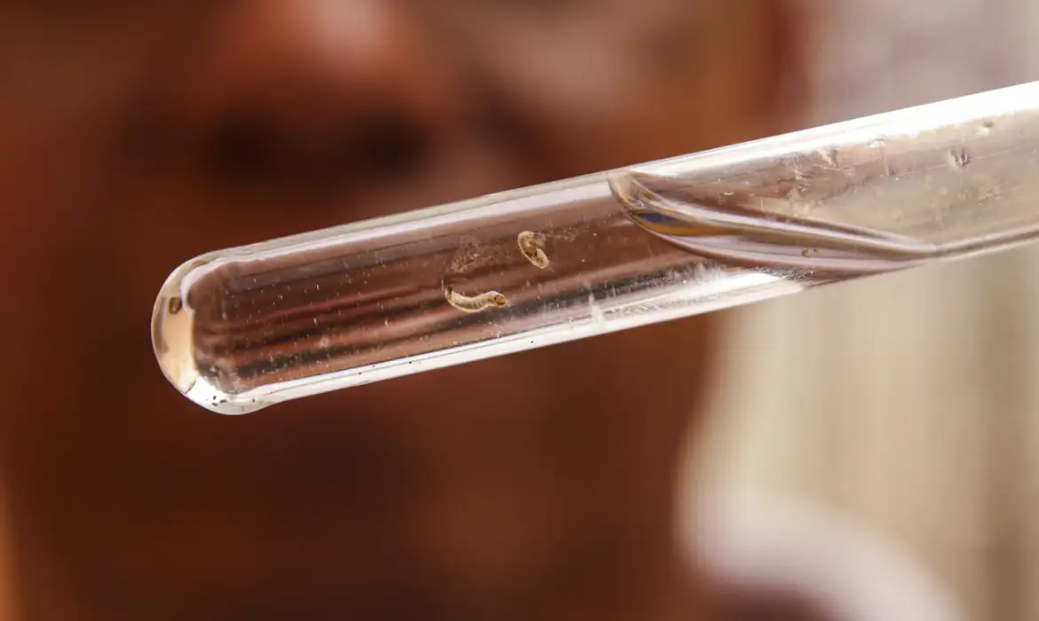 Brasil registra mais de um milhão de casos de dengue