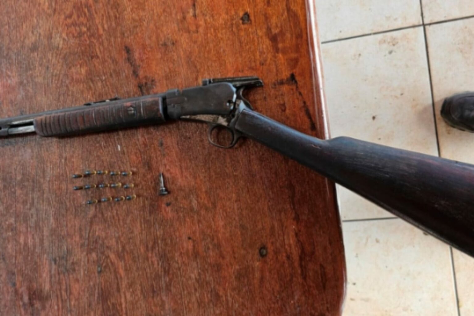 PC resgata 30 aves silvestres e prende homem por maus-tratos no Pará