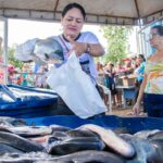 Prefeitura de Tucuruí entrega 12 mil kg de peixes a famílias carentes