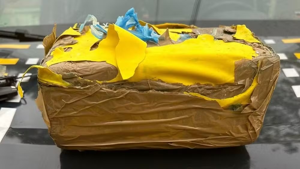 Mulher é flagrada viajando de ônibus com 2 kg de ‘skunk’ na BR-230