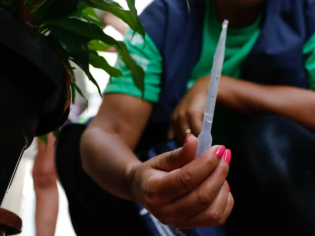 Pará tem mais de 8 mil casos prováveis de dengue