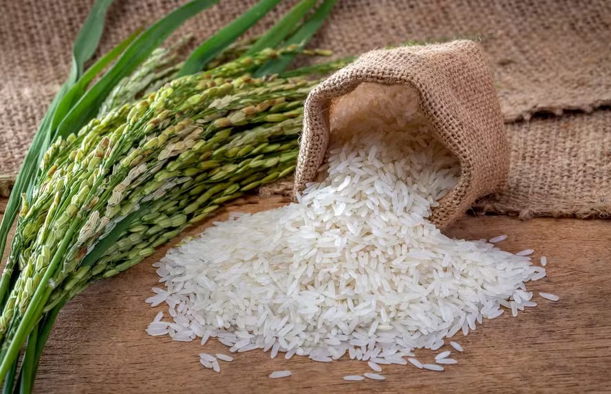 PM prende filho de vereador por receptação de carga de arroz roubada em Marabá
