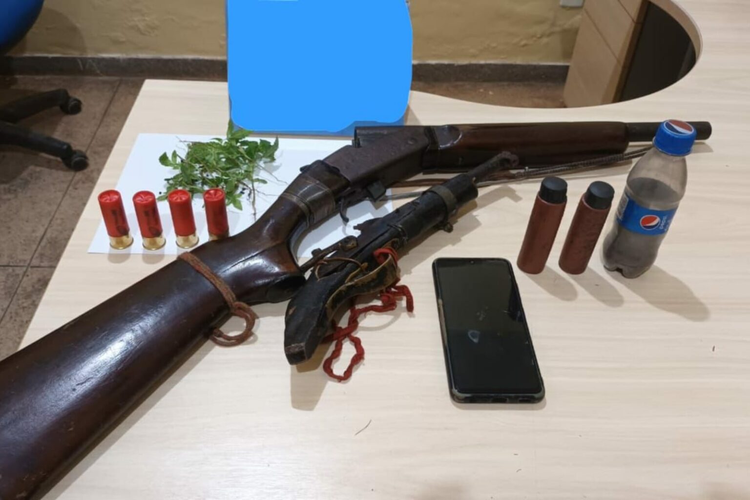 PM apreende plantio de maconha e armas no Pará