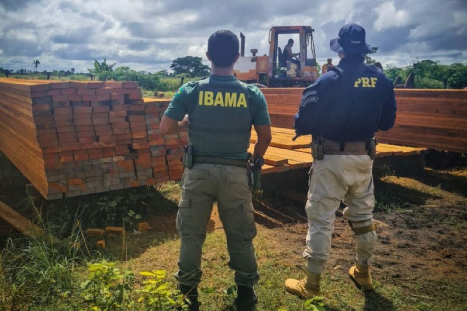 PRF e Ibama apreendem 50 m³ de madeira ilegal em Marabá