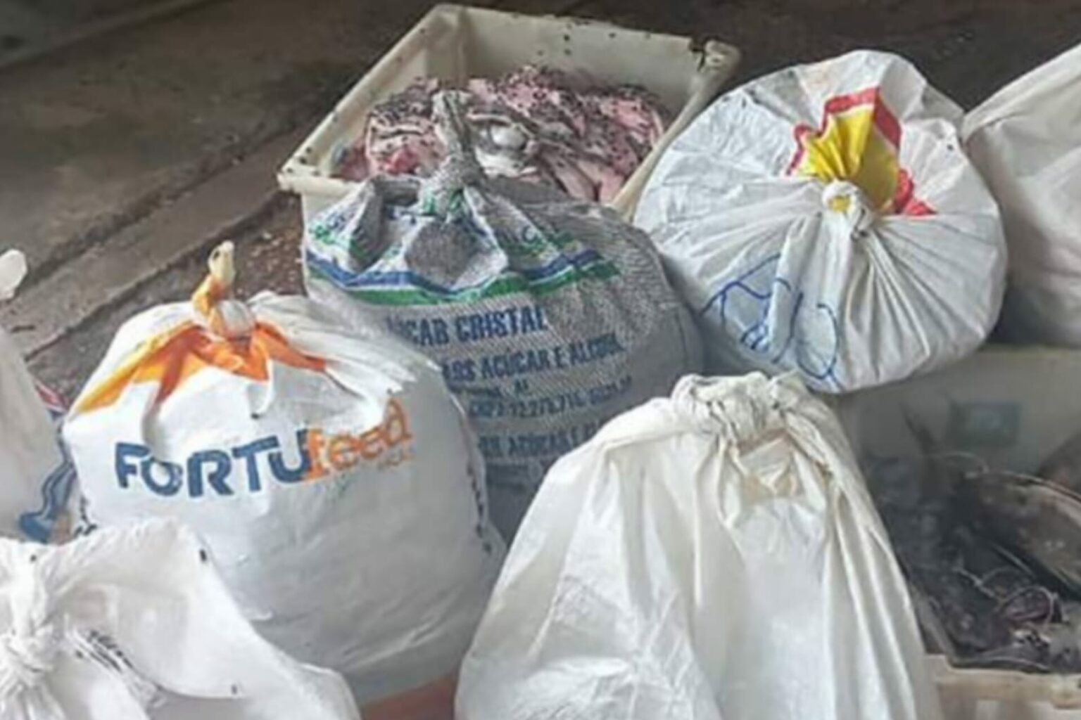 Polícia Civil apreende 570 quilos de peixe no Pará