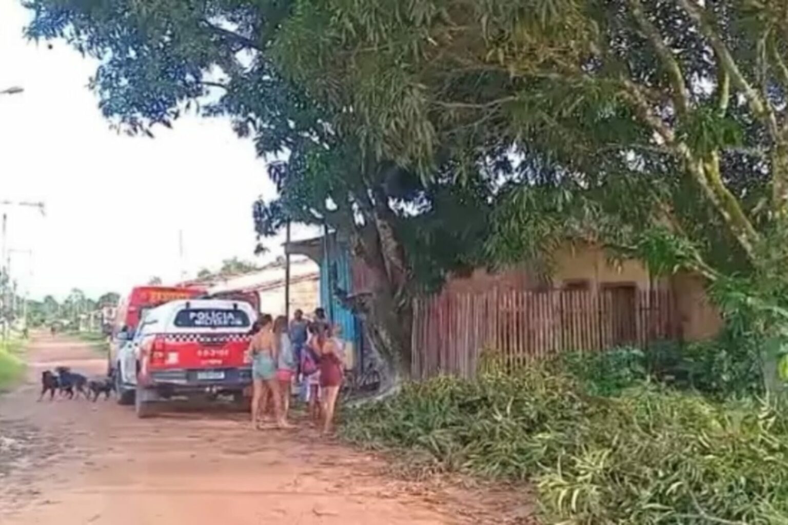 Mulher é encontrada morta com marcas de estrangulamento no Pará