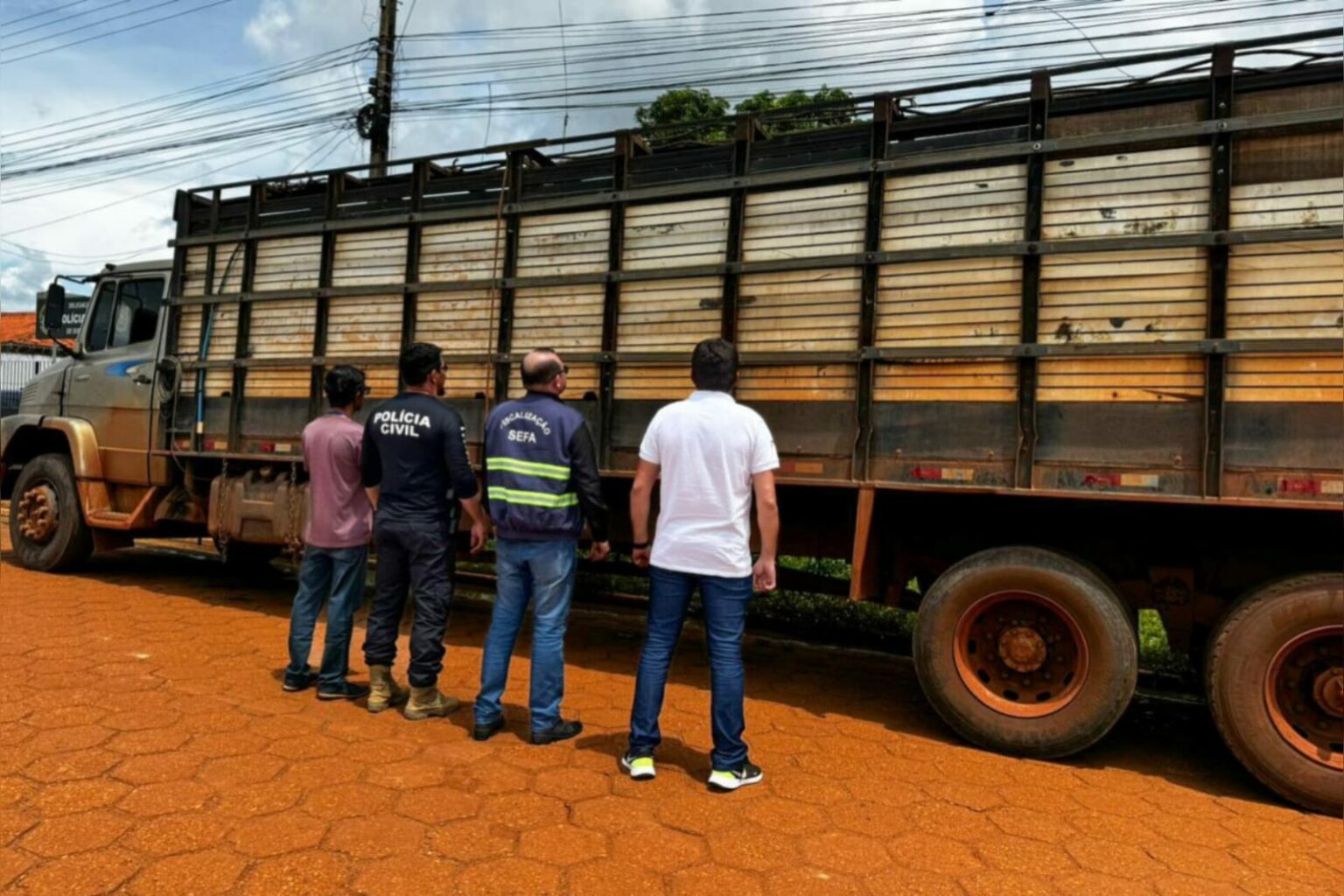 Sefa apreende 38 cabeças de gado em Dom Eliseu
