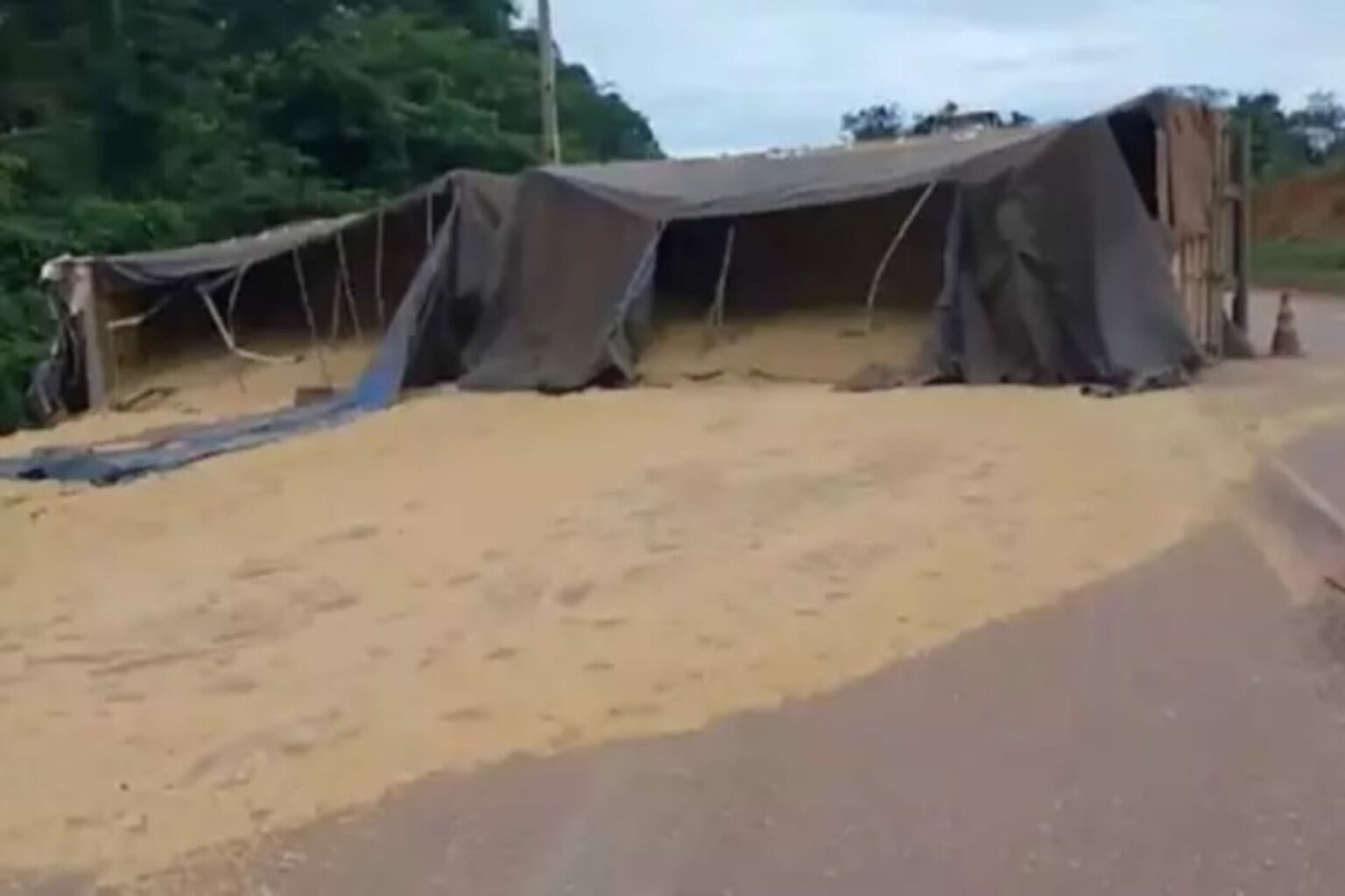 Colisão entre carreta e micro-ônibus deixa trabalhadores mortos na BR-163