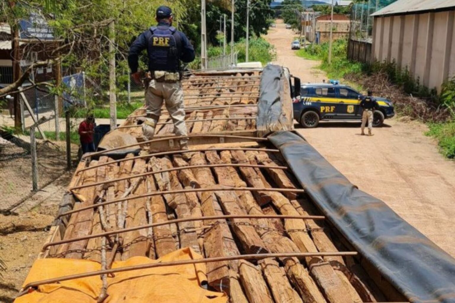 PRF apreende 50 m³ de madeira ilegal em Redenção