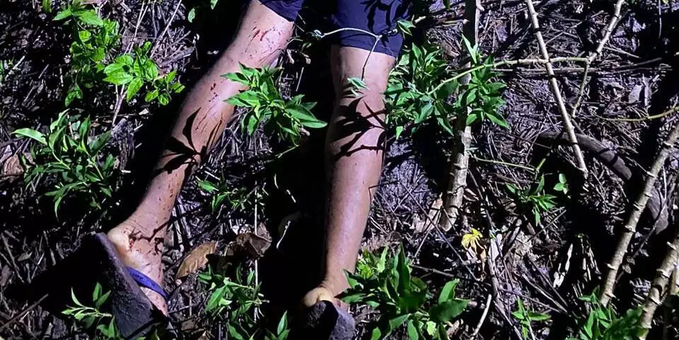 Homem é assassinado a facadas pela companheira no nordeste do Pará