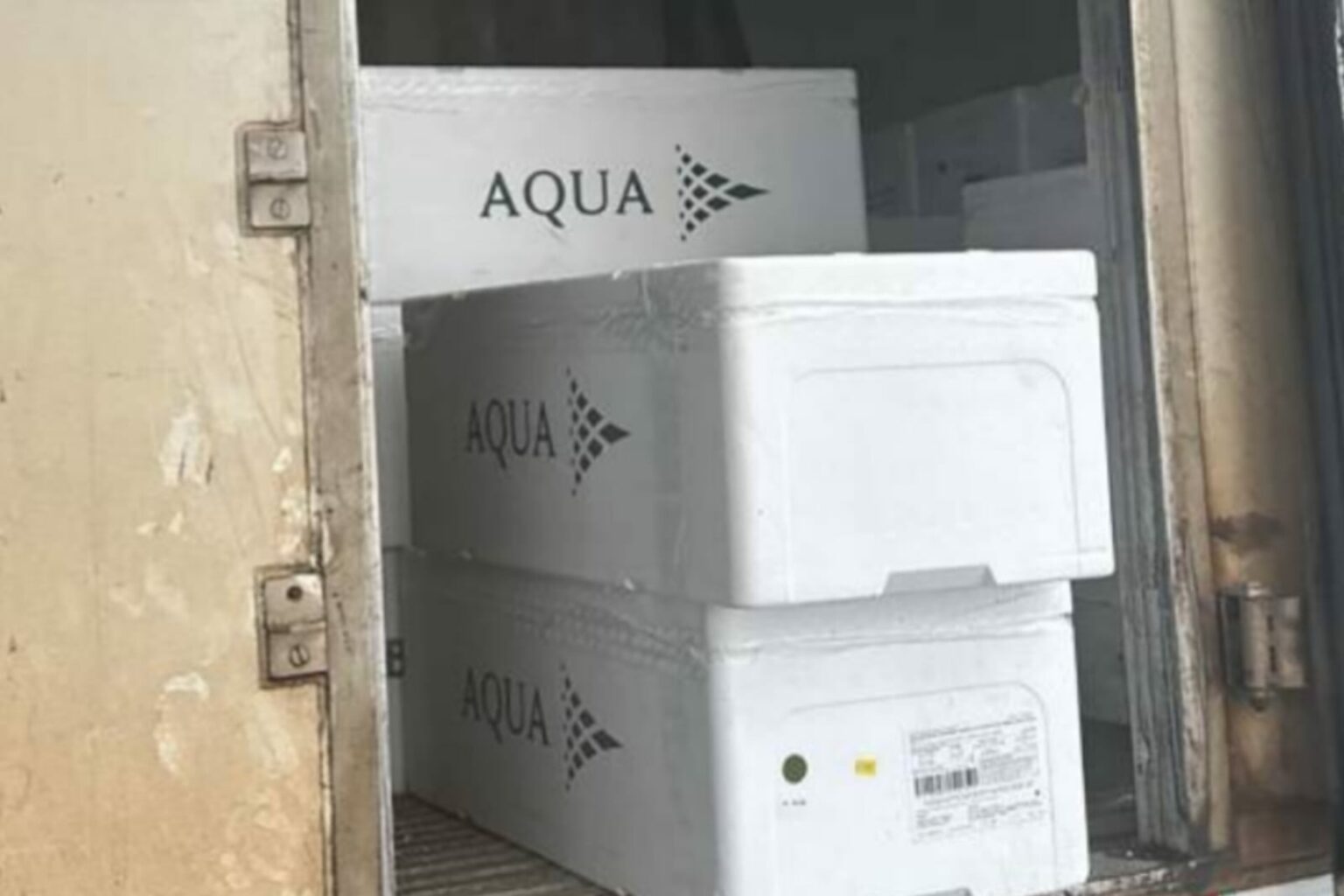 Sefa apreende 990 kg de salmão importado em Santarém