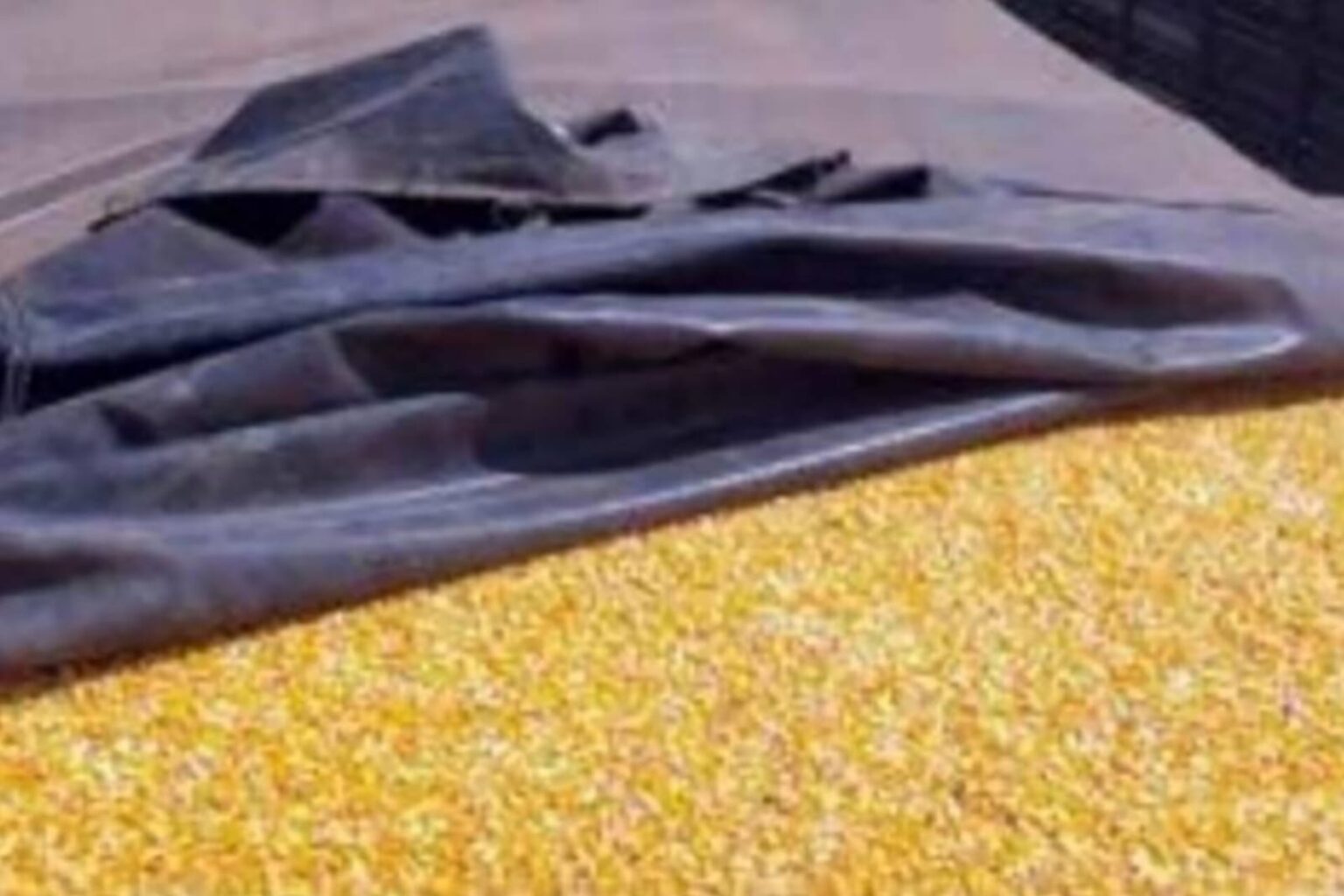 Sefa apreende carreta com 9,9 toneladas de milho em Dom Eliseu