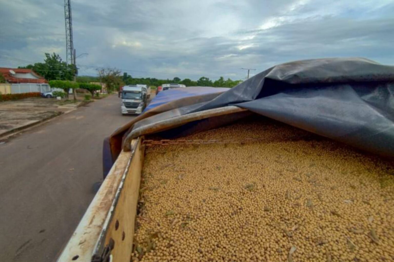 Sefa apreende 60 toneladas de soja em Dom Eliseu