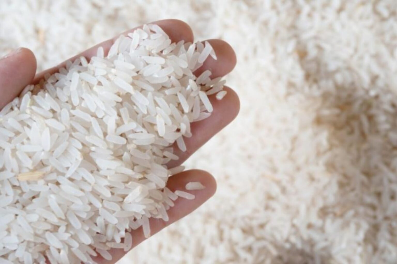 Sefa apreende quase 40 toneladas de arroz em Santarém