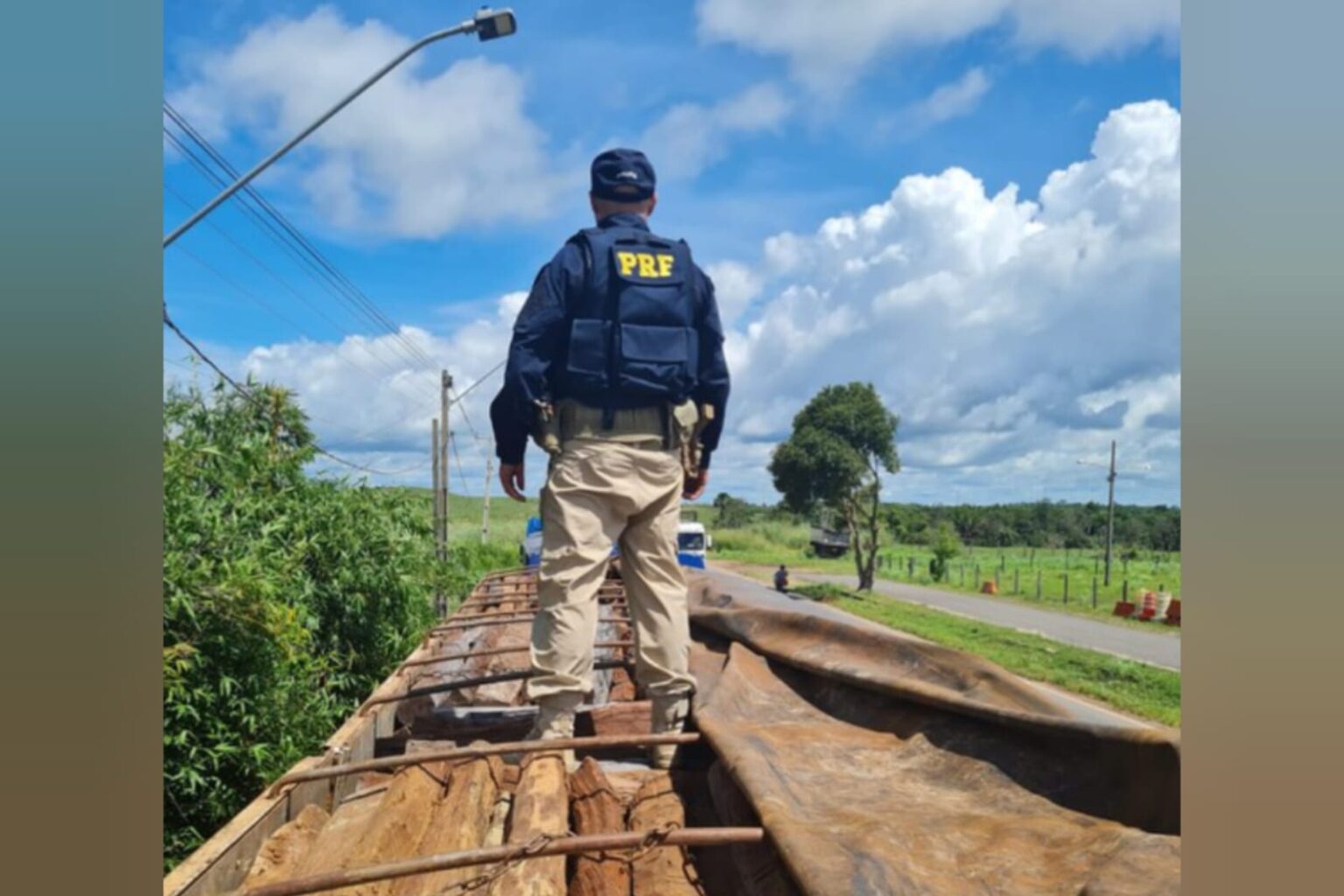 PRF apreende 53m³ de madeira ilegal em Marabá